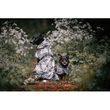 Zwei Hunde in passenden Tarnregenmänteln sitzen auf einem üppigen, grünen Feld mit weißen Blumen, einer schaut zurück zur Kamera.