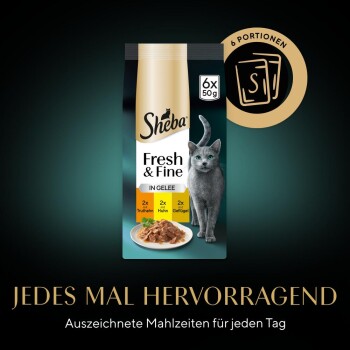 Sheba Fresh & Fine Katzenfutterverpackung mit einer grauen Katze, 6x50g Portionen in Gelee: 2x Truthahn, 2x Huhn, 2x Geflügel.