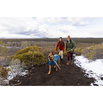 Zwei Frauen, die einen Hund auf einem schmutzigen Weg gehen, umgeben von Grün und Schnee, mit dem Hund, der einen blauen Pullover trägt und einen Stock trägt.