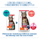 Hill's Science Plan Adult 1–6 Katzenfutter (alte und neue Beutel) mit getigertem Kater; sichtbarer Text 'NEUER GESCHMACK' und 'ACTIVBIOME+'.