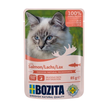 Katzenfutterbeutel mit einer Nahaufnahme des Gesichts einer Katze, beschriftet mit 'mit Lachs', 'Getreidefrei' und 'Leckerer Geschmack, leichte Verdauung.'
