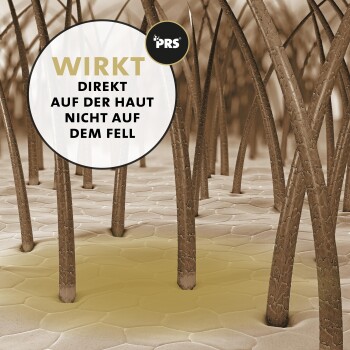 Illustration der Hautstruktur mit Haarfollikeln, mit einem runden Etikett, das besagt: 'WIRKT DIREKT AUF DER HAUT NICHT AUF DEM FELL.'