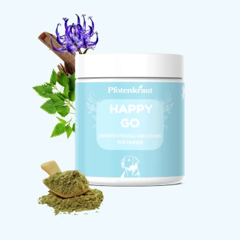 Behälter mit "Happy Go Gelenkskräuter für Hunde" Gelenkkräutern für Hunde, umgeben von grünen Blättern und einem Löffel Kräuterpulver.