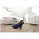 Ein glücklicher schwarzer Hund, der einen dunkelblauen Handtuchmantel trägt, steht in einem modernen Wohnzimmer mit einem hellen Sofa und einer Lampe.