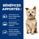 Un petit chien sur un fond bleu avec un texte énumérant les avantages : soutient la fonction rénale, stimule l'appétit et maintient la masse musculaire.