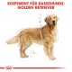 Golden Retriever Adult 12 kg