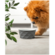Flauschiger brauner Pomeranian schnüffelt an einem grauen, geometrisch gemusterten Futternapf auf dem Boden mit grünen Blättern in der Nähe.