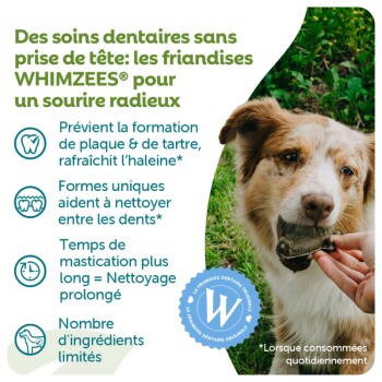 Chien à qui l'on donne une friandise dentaire WHIMZEES ; texte français : « Des soins dentaires... WHIMZEES® pour un sourire radieux »