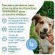 Chien à qui l'on donne une friandise dentaire WHIMZEES ; texte français : « Des soins dentaires... WHIMZEES® pour un sourire radieux »