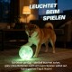 Shiba Inu mit leuchtender grüner Kugel; überlagerter deutscher Text 'LEUCHTET BEIM SPIELEN' und Hinweis: batteriefrei.