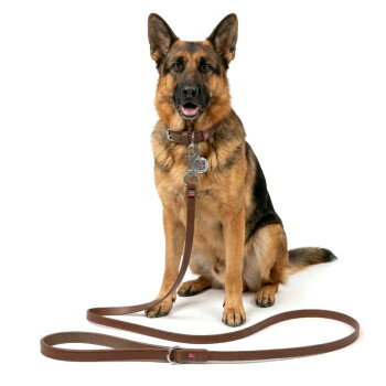 Duitse Herder zittend, draagt een bruine leren halsband en hondenriem met metalen ID-tag en rood logo.