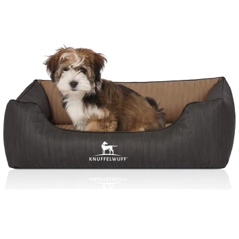 Flauschiger braun-weiß gefleckter Welpe in einem grauen Hundebett mit beigem Innenbereich, vorn sichtbares 'KNUFFELWUFF'-Logo.