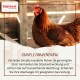 Braune Henne in einem Stall, "Supravit Farming Days"-Logo oben links, überlagerte deutsche Überschrift "SIMPLE ANWENDUNG" und Anweisungen