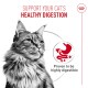 Black-and-white long-haired cat with text "Support your cat's Healthy Digestion" and circular icon reading "Proven to be highly digestible."
