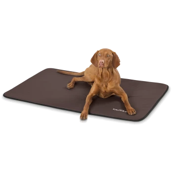Ein brauner Hund, der auf einer dunkelbraunen Haustiermatte mit einem weißen Logo liegt, was Komfort und Entspannung zeigt.