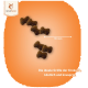 Kibble-Stücke in Knochenform, 15,5 mm groß, auf einem orangefarbenen Hintergrund mit dem Text: "Die ideale Größe der Krokette, köstlich und knusprig."