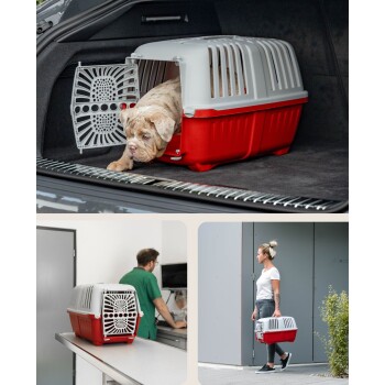 Eine rot-weiße Haustiertrage in einem Kofferraum, mit einem Hund, der herausblickt. Eingebettete Bilder zeigen sie in einer Tierarztpraxis und beim Tragen nach draußen.
