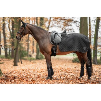 Ein braunes Pferd steht in einem Wald, der mit Herbstblättern bedeckt ist, trägt eine schwarze Satteldecke und Beinschoner, mit Zaumzeug und Zügeln.