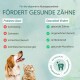 Bild zur Förderung der Zahngesundheit von Haustieren mit einem Hund und einer Katze. Hebt die Vorteile von sauberen Zähnen und frischem Atem sowie Probleme wie Plaque hervor.