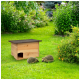 Twee egels zijn aan het foerageren op groen gras nabij een houten egels huis met een donker dak, omringd door kleurrijke bloemen.