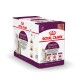 Sensory Smell Taste Feel Multipack in Soße 12x85 g