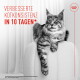 Schwarzweißaufnahme einer langhaarigen getigerten Katze, die über einen Stuhl hängt; Text 'VERBESSERTE KOTKONSISTENZ IN 10 TAGEN*' und Royal Canin-Logo