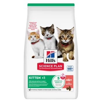 Hill's Science Plan Futterbeutel für Kätzchen mit drei Kätzchen, Beschriftungen: KITTEN <1, 5 wesentliche Vorteile und mit Lachs.