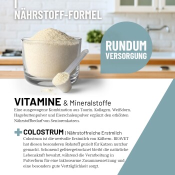 Nahaufnahme einer Person, die sanft eine zufriedene orangefarbene getigerte Katze streichelt, mit deutschem Text über fachmännisch entwickelte Tiernahrung.