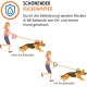 Illustration, die das Gassigehen mit und ohne Stoßdämpfer vergleicht und die Vorteile für den Rücken von Hund und Besitzer zeigt.