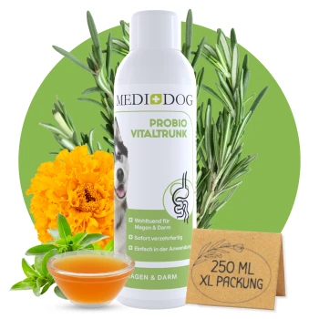 Medi+Dog Probio Vitaltrunk Flasche für Hunde mit Kräutern, eine Schüssel mit Flüssigkeit und Text: "Wohltuend für Magen & Darm" und "250 ML XL PACKUNG."