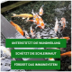 Ein Teich mit bunten Koi-Fischen und grünem Textüberlagerung: "UNTERSTÜTZT DIE WUNDHEILUNG," "SCHÜTZT DIE SCHLEIMHAUT," "FÖRDERT DAS IMMUNSYSTEM."