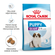 Torba z karmą Royal Canin Puppy Giant dla szczeniąt w wieku 2-8 miesięcy, z szczeniakiem bernardynem i informacjami o wsparciu odporności i energii.