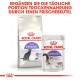Royal Canin Katzenfutterverpackung mit einem Beutel Regular Sterilised Trockenfutter und einem Beutel Sterilised Nassfutter, mit Text, der die tägliche Fütterung bewirbt.