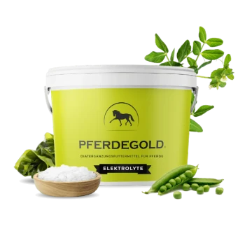 Behälter mit Pferdegold-Elektrolyten für Pferde, mit einem gelben Etikett und Pferdelogo, umgeben von grünen Blättern und weißem Pulver.