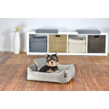 Ein kleiner Yorkshire Terrier sitzt bequem in einem grauen Hundebett auf einem Holzboden, mit einem modernen Aufbewahrungseinheit im Hintergrund.
