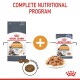 Royal Canin Hair & Skin cat food packaging with kibble and wet food on a plate, labeled "Complete Nutritional Program."