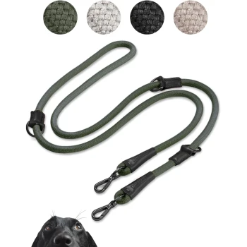 Grüne Hundeleine mit schwarzen Lederakzenten und zwei Clips, plus Farbproben in Grau, Schwarz und Beige. Hundegesicht in der Ecke.