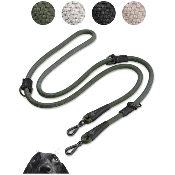 Grüne Hundeleine mit schwarzen Lederakzenten und zwei Clips, plus Farbproben in Grau, Schwarz und Beige. Hundegesicht in der Ecke.