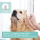 Ein Golden Retriever, der Ohrentropfen aus der Hand einer Person erhält, mit Textanweisungen in Deutsch und Englisch zur richtigen Anwendung.