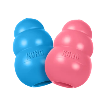 Two KONG brand dog chew toys, one blue and one pink, shown on a white background.