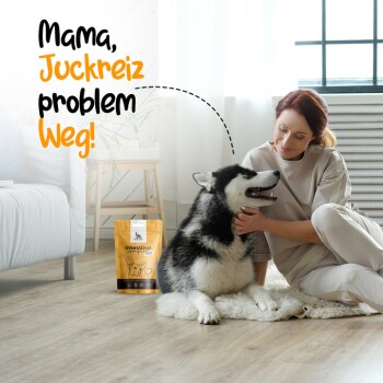 Eine Frau lächelt, während sie einen schwarz-weißen Hund neben einem Sack "Intestinal Pro" Tiernahrung mit verspieltem Text streichelt.