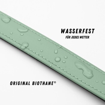 Nahaufnahme einer schwarzen geflochtenen Haustierleine mit einem grünen Rand, die ihre Textur und ihr Design vor einem weißen Hintergrund zeigt.