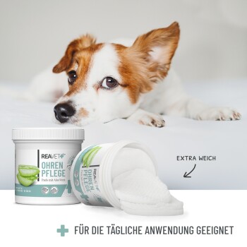 Nahaufnahme eines Hundes auf einem Bett neben einem Behälter mit REAVET Ohrpflege-Pads mit Aloe Vera, beschriftet mit "extra weich" und "täglicher Gebrauch."