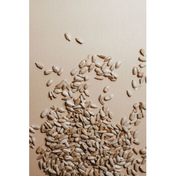 Eine Nahaufnahme von verstreuten Sonnenblumenkernen auf einem hellbeigen Hintergrund, die ihre natürliche Textur und Farbe zeigt.