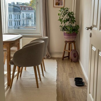 Ein gemütlicher Essbereich mit zwei modernen grauen Stühlen, einem Holztisch und einer Topfpflanze auf einem Hocker, mit zwei schwarzen Futternäpfen auf einer Matte.