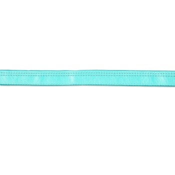 Hellblaues Haustierhalsband mit reflektierenden Nähten auf weißem Hintergrund.