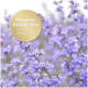 Lila Blumen mit einem goldenen Siegel, das "Mit echter Katzenminze und ohne Pheromone" besagt.
