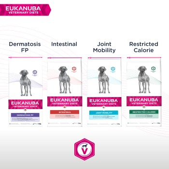 Eukanuba Veterinary Diets Verpackung mit vier Hundefuttervarianten: Dermatosis FP, Intestinal, Joint Mobility und Restricted Calorie.
