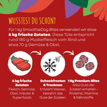 Grafik im Zoofachhandel: 'WUSSTEST DU SCHON?' SmoothieDog: 6 kg Zutaten → schockfrosten -40° → 1 kg Premium-Bites.