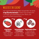Grafik im Zoofachhandel: 'WUSSTEST DU SCHON?' SmoothieDog: 6 kg Zutaten → schockfrosten -40° → 1 kg Premium-Bites.